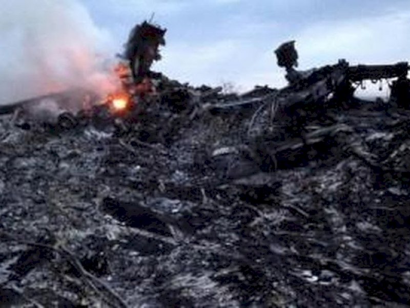Puing-puing pesawat Malaysia Airlines MH17. (int)