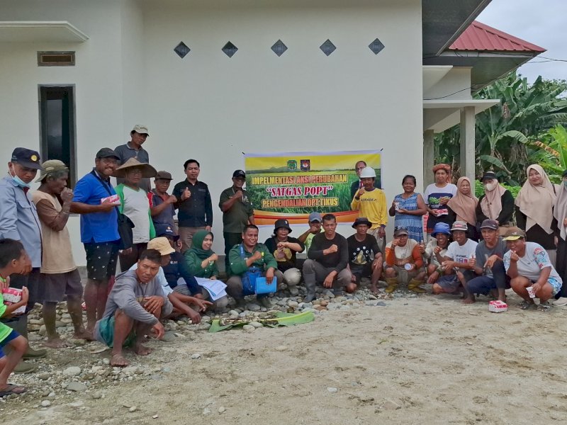 Kekurangan Pengamat OPT, Dinas Pertanian Luwu Utara Bentuk Satgas POPT