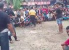 Judi Sabung Ayam Marak Lagi di Tondon Toraja Utara, Warga: Ada Pembiaran 