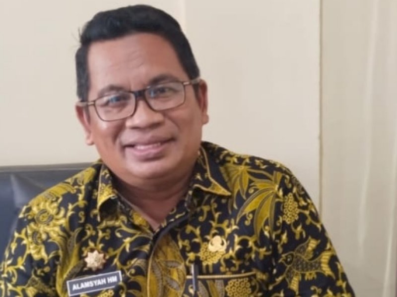 Kepala Dinas Lingkungan Hidup Kabupaten Wajo, H Alamsyah. (Foto: IST)