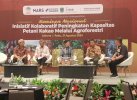 Agroforestri di Lutra Perkuat Ketahanan Ekonomi Petani Kakao