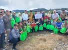 Ratusan Hektar Lahan Kopi di Sulsel Dapat Bibit Gratis