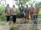272 Hektar Lahan Kelapa di Sidrap Dapat Bantuan Bibit Gratis