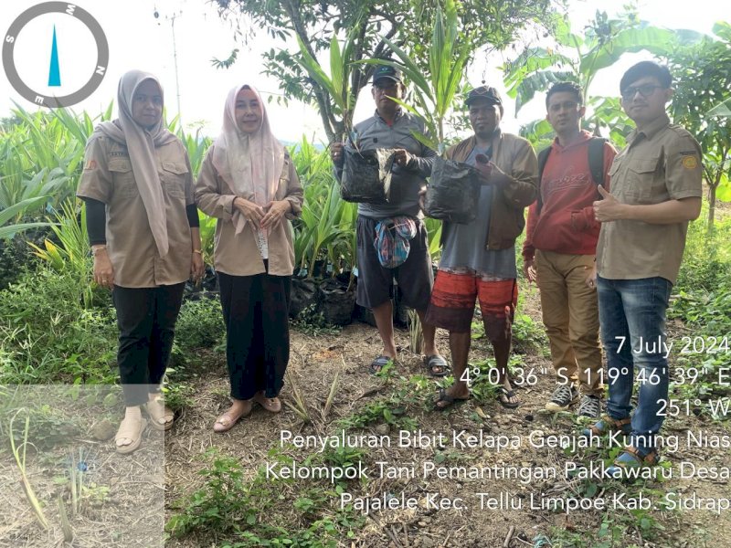 Kegiatan penyaluran bibit kelapa genjah beberapa waktu lalu. (Foto: IST)