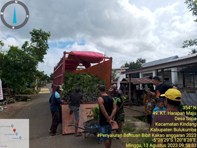 Bibit pohon kakao yang disalurkan di era ASS periode 2022-2023. (Foto: IST)