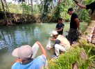Pemdes Tea Musu Tebar 3.000 Benih Ikan di Sungai Teppo Tae
