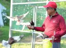 Taman Burung Merpati Pemprov Sulbar Bakal jadi Ikon Baru
