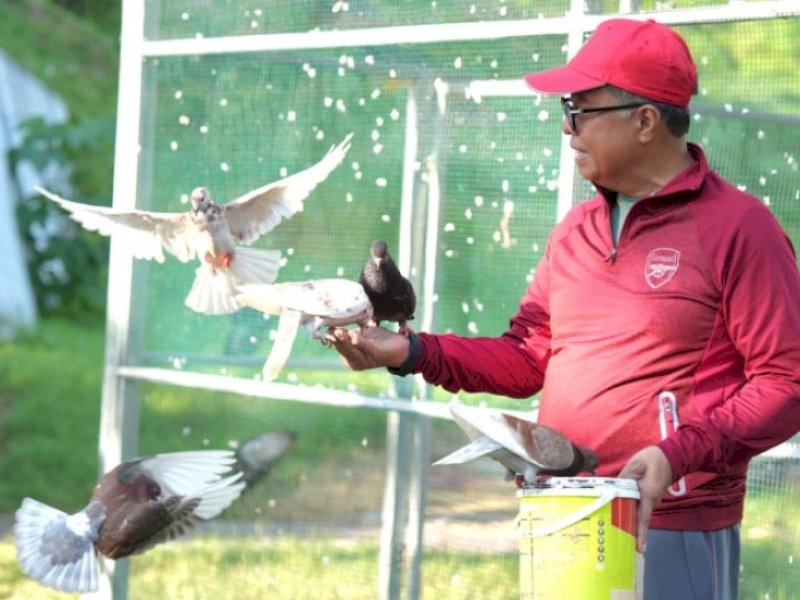 Taman Burung Merpati Pemprov Sulbar Bakal jadi Ikon Baru