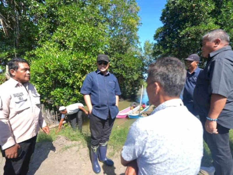 Pemprov Sulbar akan Manfaatkan Ekosistem Mangrove sebagai Habitat Kepiting Bakau