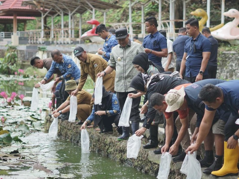 Pj Gubernur Sulawesi Barat Bahtiar Baharuddin melakukan  penebaran bibit ikan nila di kolam Gentungan. 