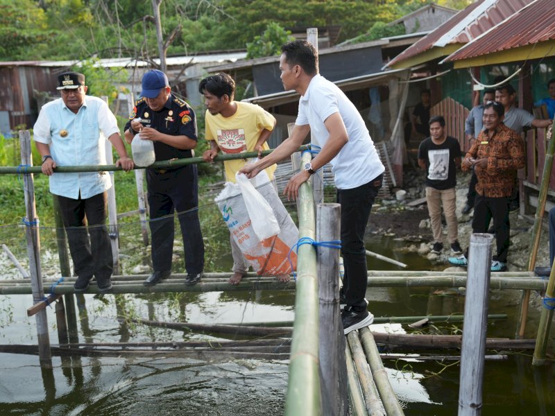 Pj Gubernur Sulbar, Bahtiar Baharuddin melepas bibit ikan Nila untuk dikembangkan biakkan. (Foto: IST)