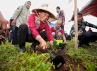 Tahun ini Pemprov Sulsel Sudah Tanam 16.000 Pohon di 8 Kabupaten