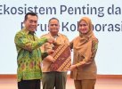 Pemprov Sulsel Tetapkan Bentang Alam Seko-Rongkong Lutra sebagai KBEP