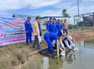 Satpolairud Polres Bone Tebar 5.000 Benih Ikan Bandeng di Kelurahan Waetuo 
