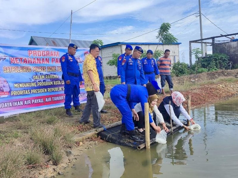 Satuan Polisi Perairan (Satpolairud) Polres Bone menebar 5.000 benih ikan bandeng di Lingkungan Tabu, Kelurahan Waetuo. 