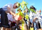 Setahun, Sulsel Sudah Tanam 6,6 Juta Pohon 