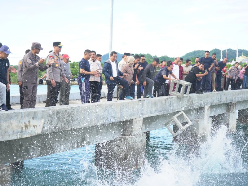 Penyebaran 1.000 karang buatan di Teluk Mamuju.