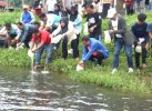 Forkopimda Bersama Warga Sulbar Sebar Seratus Ribu Benih Ikan Nila di Kali Mamuju