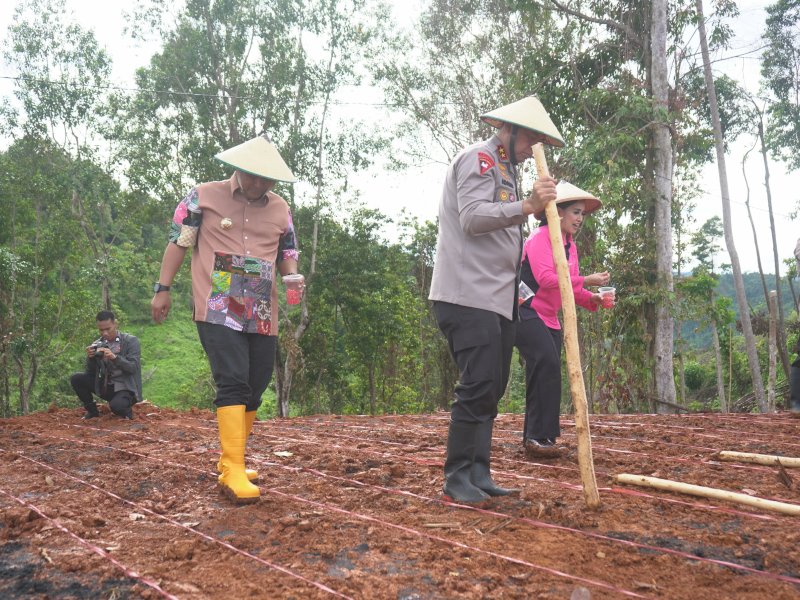 Penjabat Gubernur Sulawesi Barat Bahtiar Baharuddin menghadiri penanaman berbagai komoditi di Dusun Sumua, Desa Botteng, Kecamatan Simboro, Kabupaten Mamuju. 