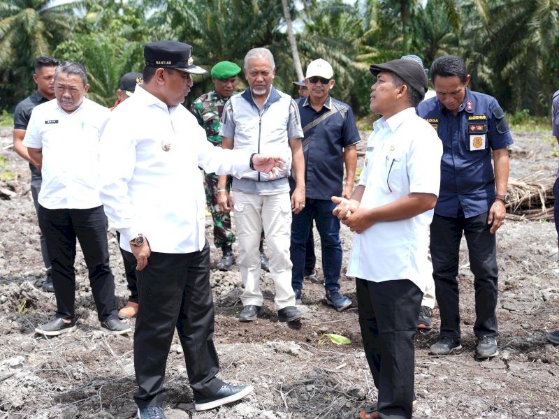 Warga Pasangkayu Sulawesi Barat semakin antusias untuk bertani budidaya hortikultura jenis Pisang Cavendis.