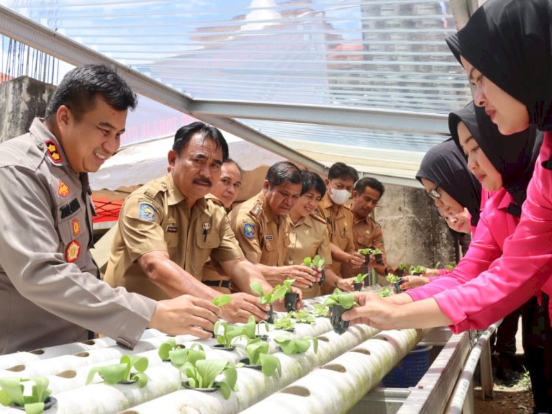 Polres Toraja Utara bersama Bhayangkari mengikuti kegiatan launching penguatan program Perkarangan Pangan Lestari (P2L). 