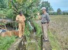 Anggota DPRD Sulsel Bicara Urgennya Irigasi Kasambi Lutra: Harus Segera Tuntas