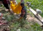 5 Hari Hilang, Bocah 3 Tahun di Wajo Ditemukan Tewas di Sungai Walannae 