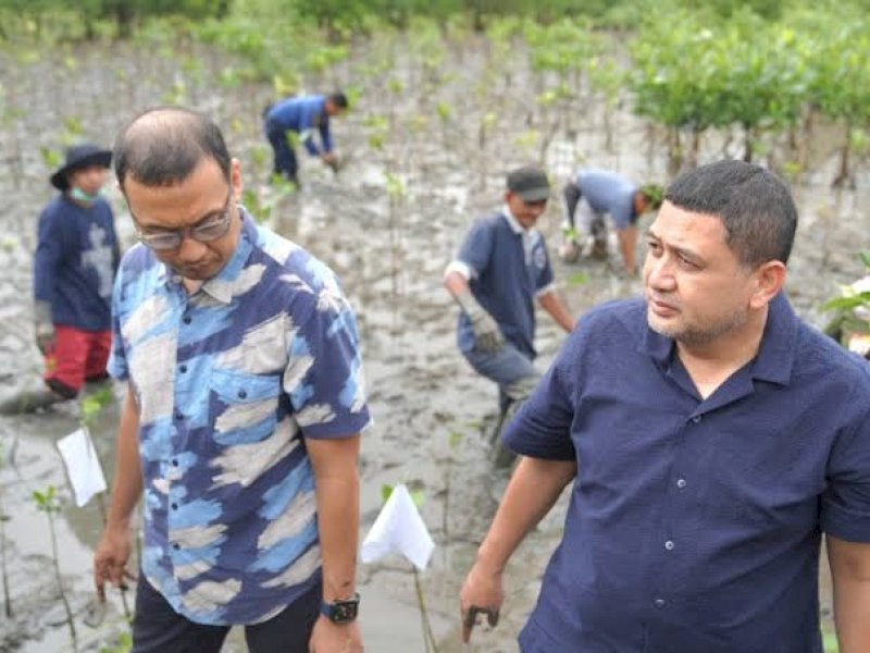Penanaman mangrove di kawasan wisata Dermaga A, Kelurahan Untia, Kecamatan Biringkanaya. 