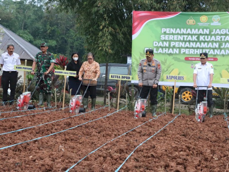 Polres Toraja Utara menggelar penanaman jagung serentak di salah satu lahan perhutanan sosial di Kelurahan Pa'paelean, Sanggalangi&rsquo;, Toraja Utara. 