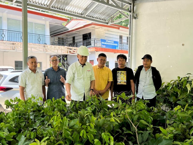 Pimpinan PT Malea Energy Hydropower, Victor Datuan Batara (VDB) menyalurkan bantuan 750 bibit pohon kepada masyarakat Rano, Kabupaten Tana Toraja. 