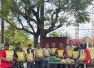 Bulog Wajo Mulai Salurkan Beras SPHP, Tekan Dampak Kenaikan Harga Pangan 