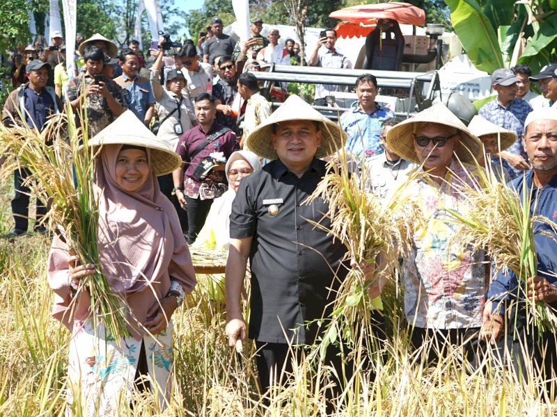Musyawarah Tani Abbulo Sibatang Kota Makassar di Kelompok Tani Manyikkoaya, Jalan Arung Teko (belakang Gudang PPLP) Makassar. 