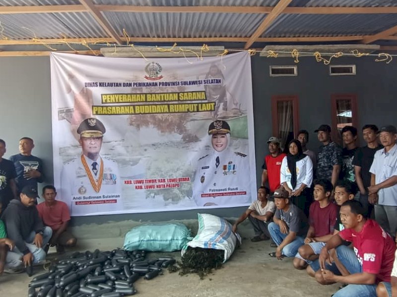 Pemprov Sulsel Salurkan 141 Ton Bibit Rumput Laut untuk Petani di Luwu Raya