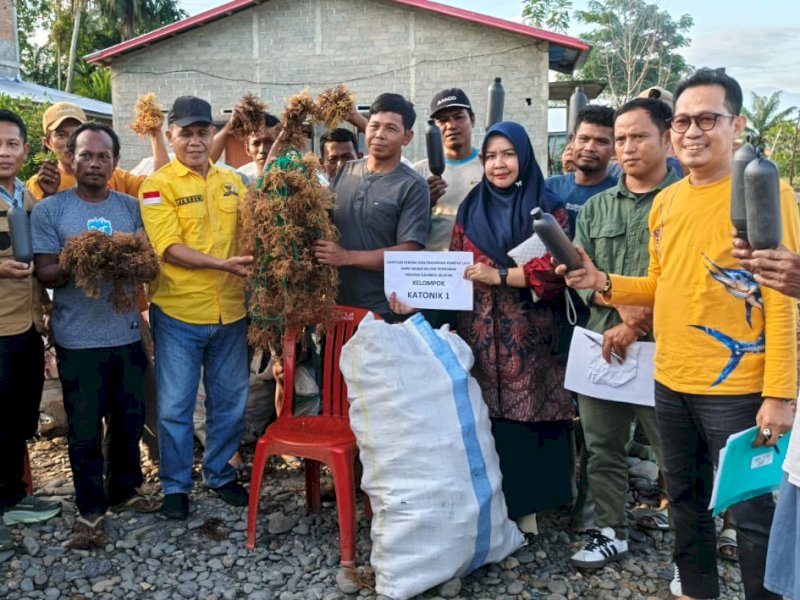 Anggota DPRD Sulawesi Selatan Jasrum menyalurkan bantuan bibit rumput laut untuk empat kelompok tani Desa Pongko, Kecamatan Bonebone. 