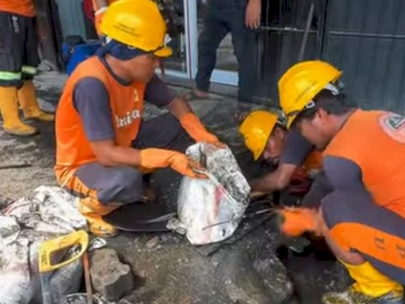 Tim Drainase Dinas PU Makassar melakukan pengerukan drainase di Jalan Sunu. 