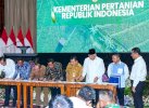 Ada Amran dan Tito, Gubernur Sudirman Ikuti Rakor Hilirisasi Komoditas Prioritas