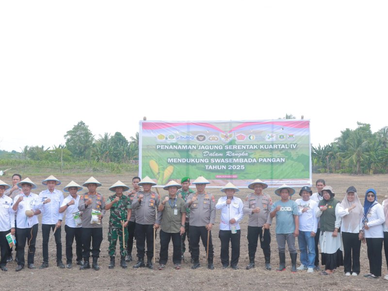 Polres Wajo bersama Forum Koordinasi Pimpinan Kecamatan (Forkopimcam) Sabbangparu berpartisipasi dalam kegiatan Penanaman Jagung Serentak Kuartal IV Tahun 2025.