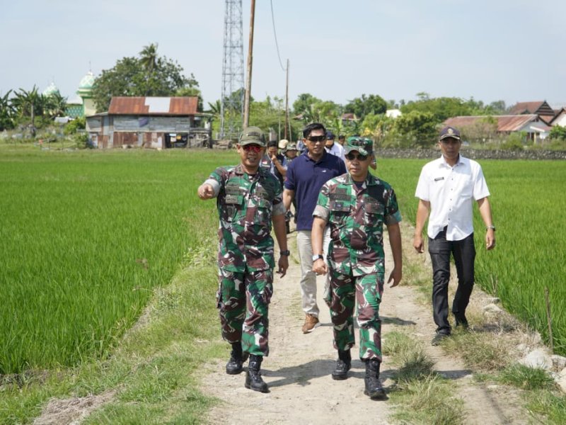 Dandim Wajo dampingi Itjen Kementan tinjau proyek Oplah Rawa di Wajo. 