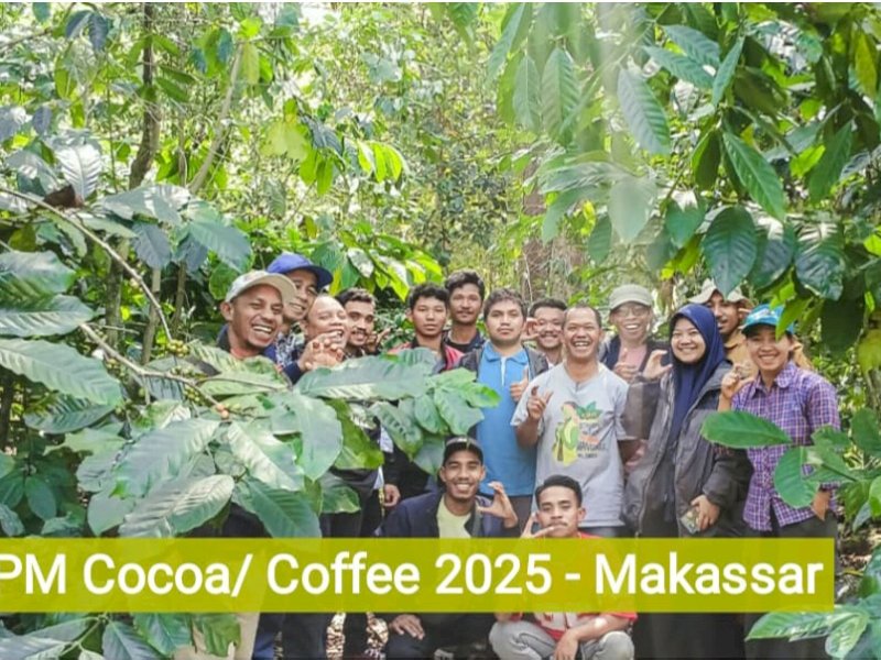 Survei Rikolto: Petani Kakao Lutra Miliki Pendapatan Paling Ideal di Indonesia