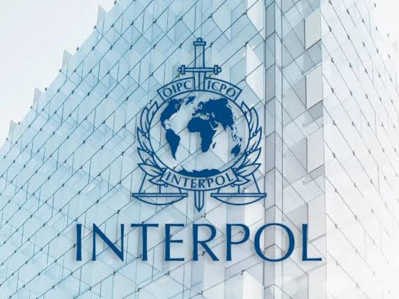 BNN-Interpol Tangkap Gembong Narkoba Dewi Astutik di Kamboja