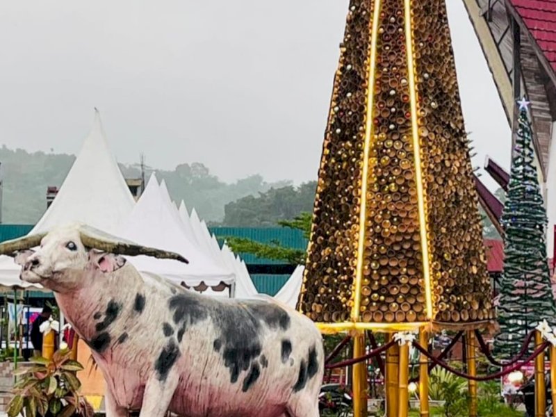 Pohon Natal Dinas DPML Toraja Utara di Alun-alun kota Rantepao. 