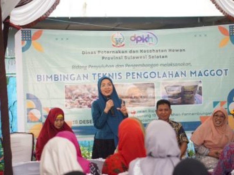Atasi Sampah, Pemkot Makassar Dorong Pengolahan Maggot Berbasis Rumah Tangga