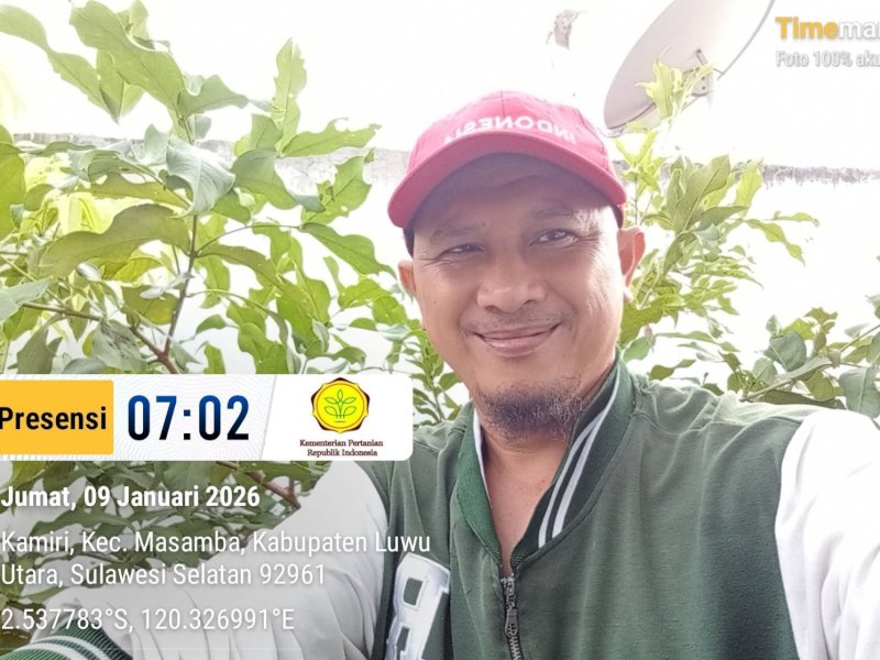 Membanggakan! Inovasi Luwu Utara Raih Piagam Penghargaan Nasional dari MenPAN-RB