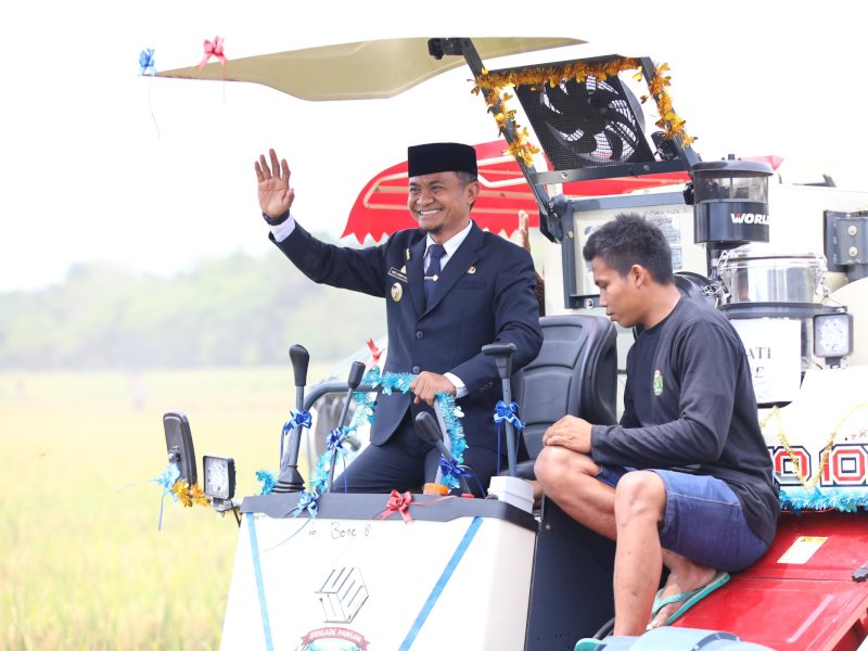 Panen Raya di Cenrana, Andi Asman Dorong Swasembada Pangan Berkelanjutan di Bone