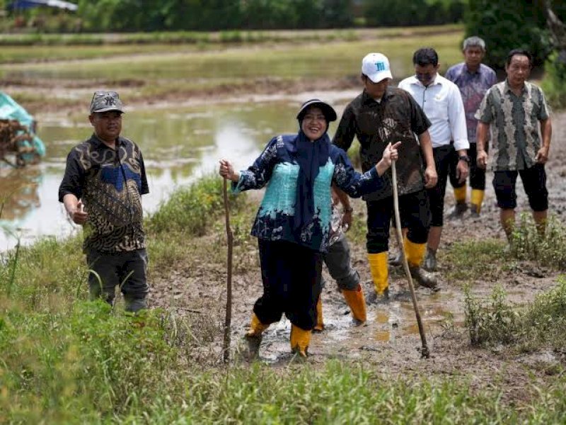 Jalan Romang Tangaya Segera Dibeton, Pemkot Makassar Alokasikan Rp4 M
