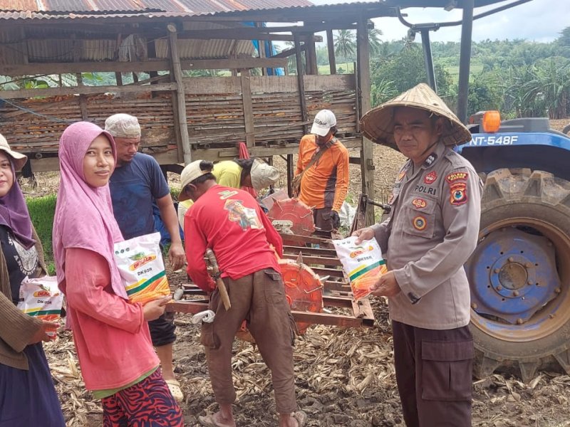 Dukung Swasembada Pangan, Polda Sulsel Tanam Jagung di Lahan 1.803,62 Ha 