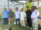 Bupati Andi Rahim Undang Pemilik Champion Cabe H Subhan ke Luwu Utara 