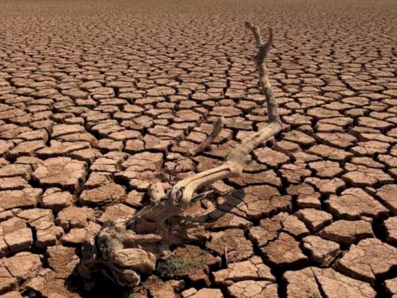 Hadapi Ancaman El Nino, Pemkot Makassar Siagakan 60 Armada untuk Distribusi Air