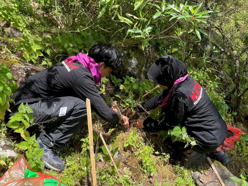 Anniversary Ke-32, MAPALA PNUP Tanam Ratusan Pohon di Lembah Lohe Gowa 