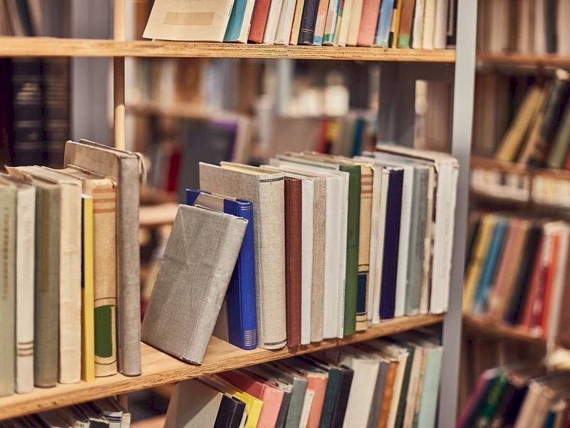 Dorong Minat Baca, Pemprov Sulsel Optimalkan Layanan Perpustakaan